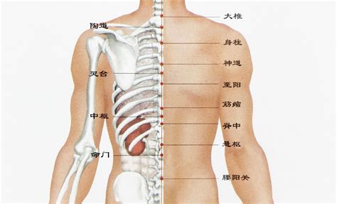 尾椎有痣|尾椎上长有痣代表什么